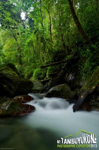 Mount Tambuyukon Expedition  